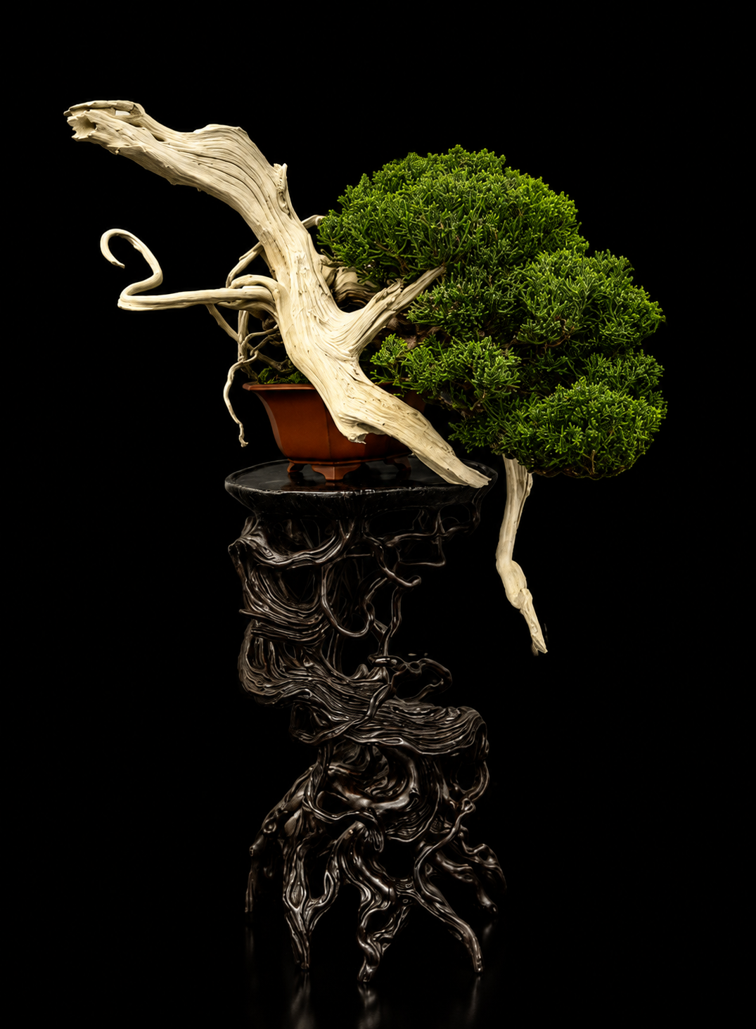 Shimpaku Miniature I (真柏小品) — 真柏 bonsai by Japanese bonsai artist Osamu Fukudate